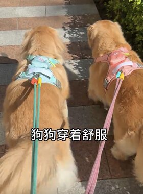 中大型犬胸背带牵引绳防爆冲书包柴犬柯基金毛拉布拉多防挣脱反光