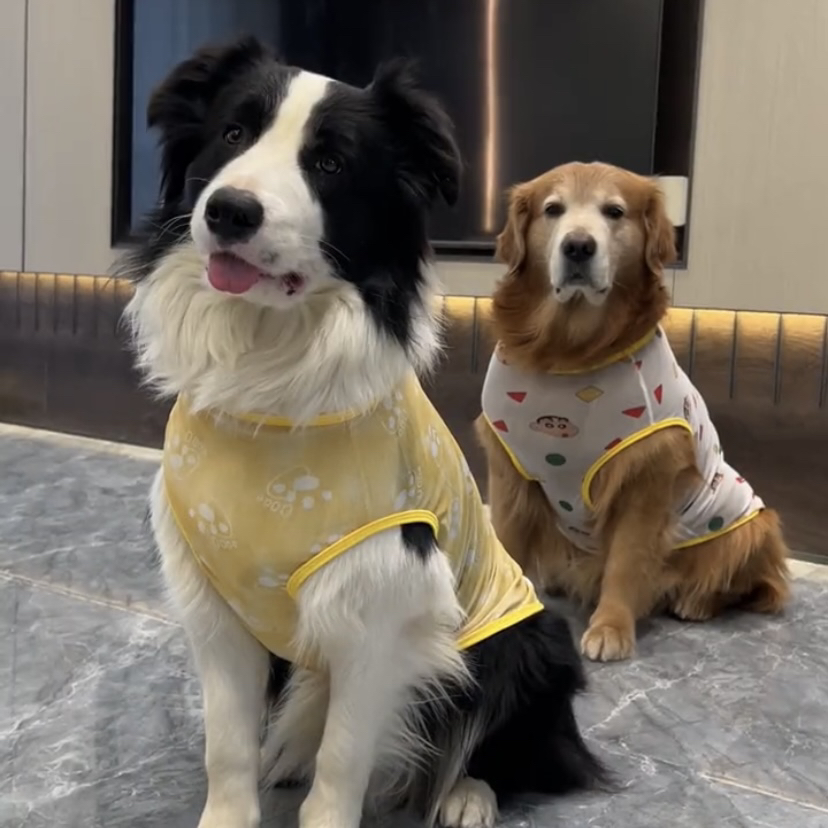 大狗狗衣服防掉毛夏季薄款大型犬金毛萨摩耶拉布拉多边牧宠物背心