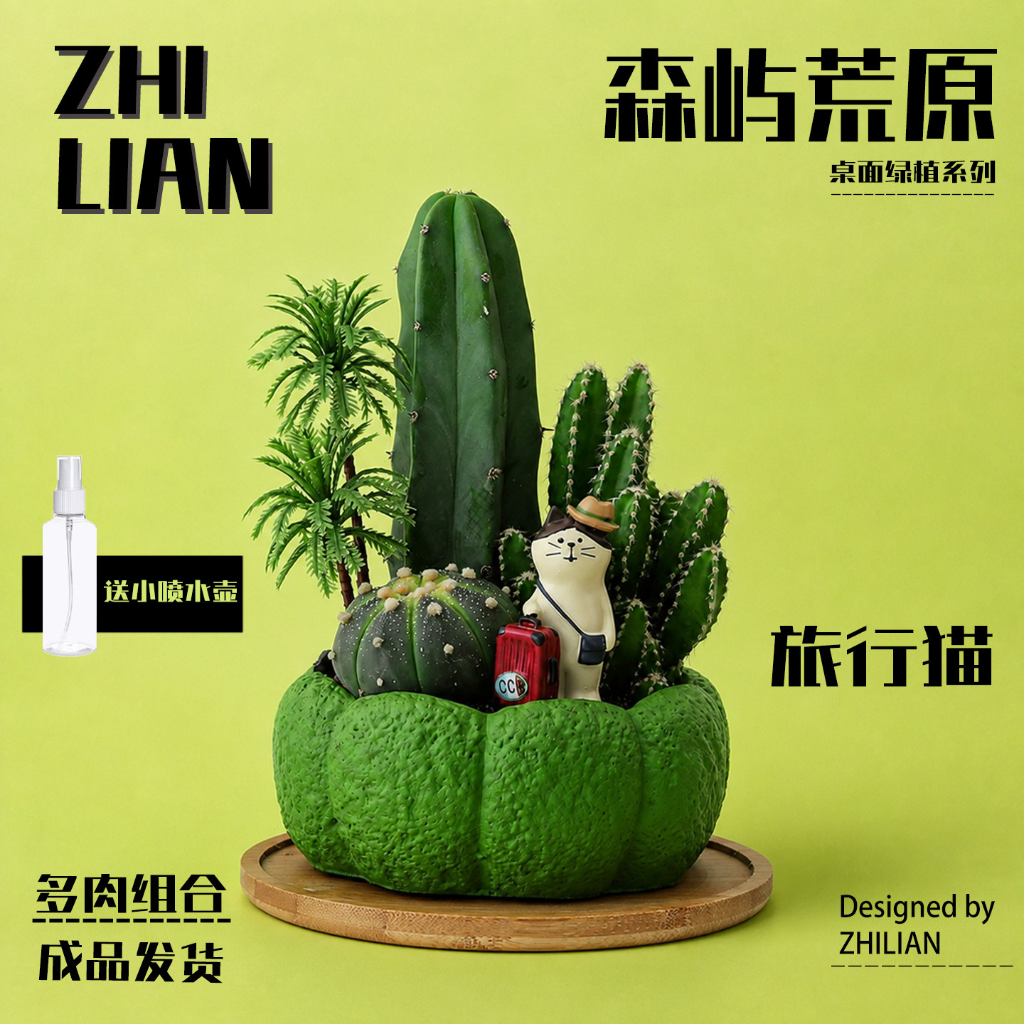 仙人掌盆栽办公室桌面绿植室内小仙人球多肉植物组合景观摆件礼物