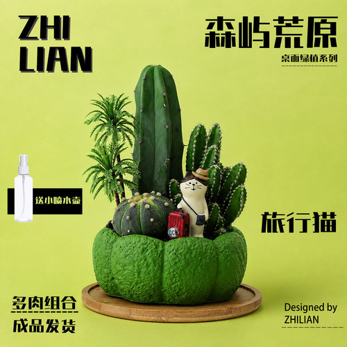 绝绝子！森系小猫仙人掌盆景