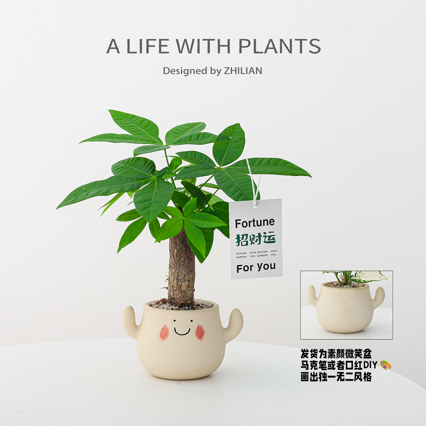DIY笑脸盆招财小绿植图片