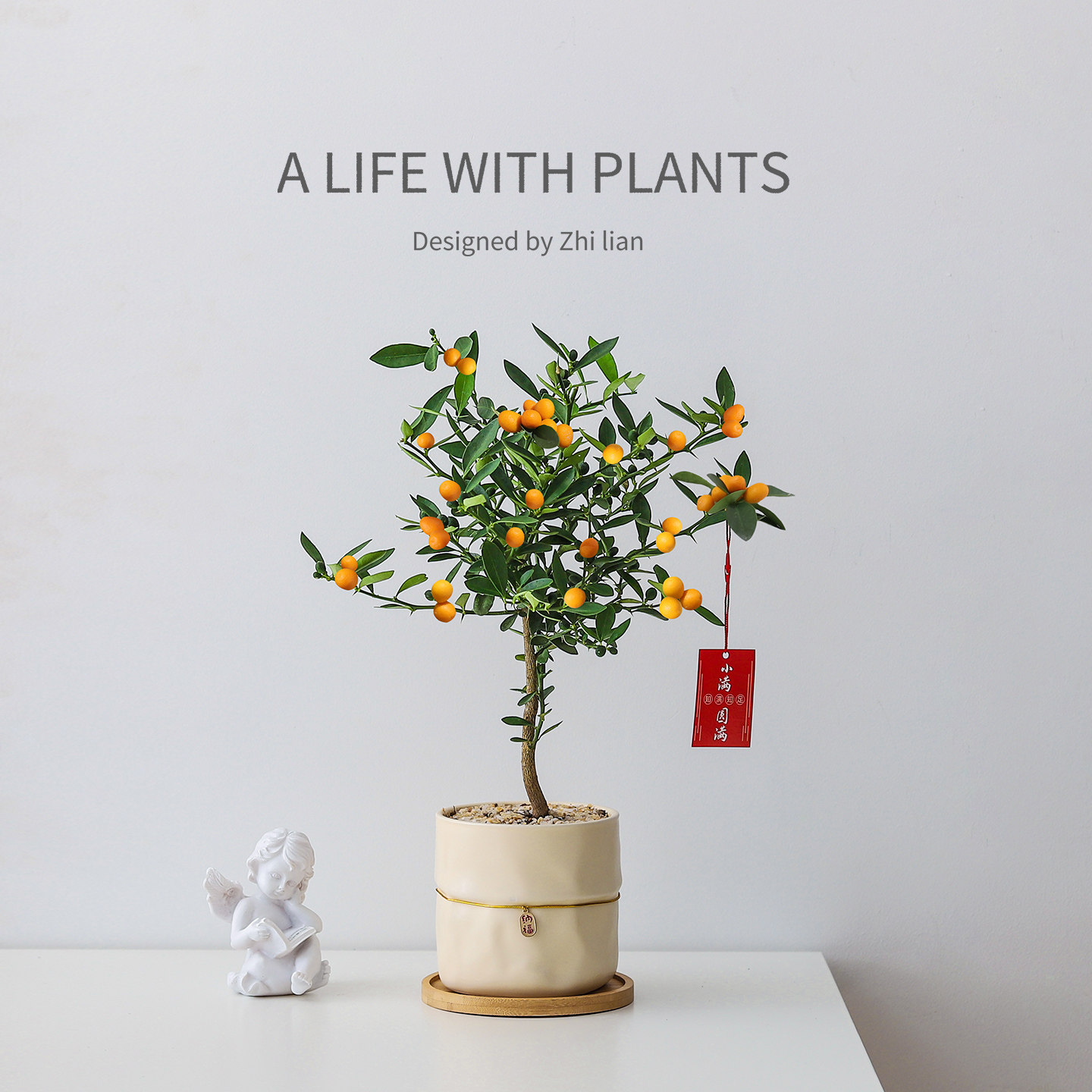 金豆盆栽带果客厅植物办公室内工位桌面四季好养绿植净化空气花卉,鲜花速递/花卉仿真/绿植园艺,绿植,淘宝优惠券,粉丝福利购,淘宝优惠卷