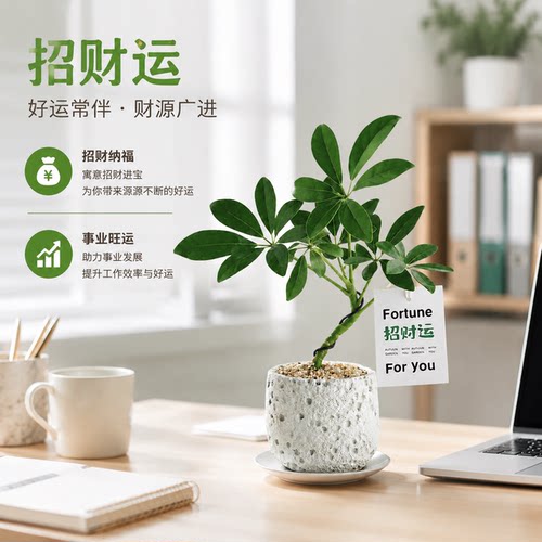 旺宅旺运绿植办公桌摆放超合适