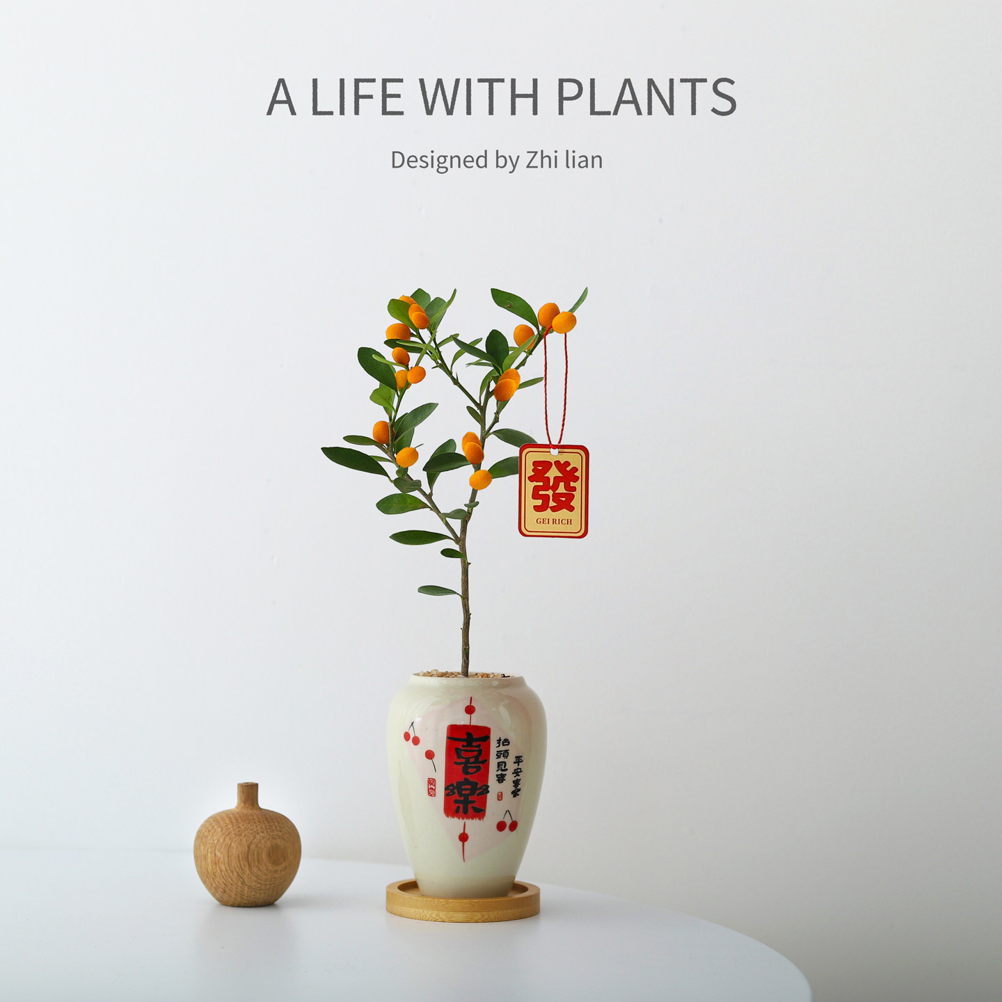 金豆盆栽室内观果植物办公室好养年宵花过年送礼净化空气花卉盆景,鲜花速递/花卉仿真/绿植园艺,绿植,淘宝优惠券,粉丝福利购,淘宝优惠卷