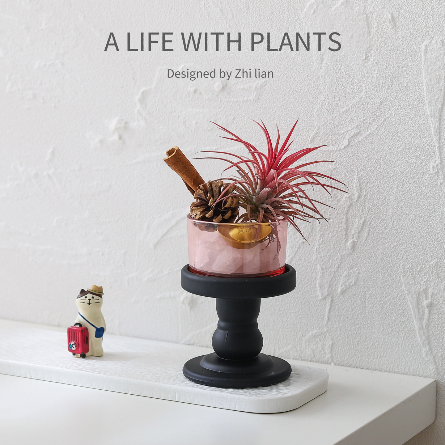 空气凤梨室内创意摆件绿植