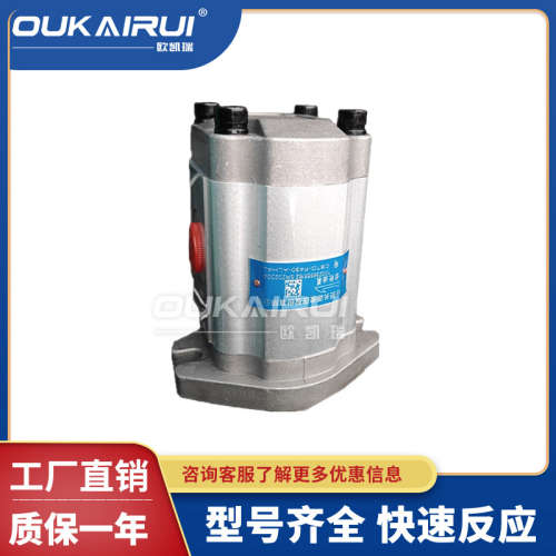 长源液压CBTD-F430/F420-ALP/AFP/AFPL/ALHL/ALH4L/AFH4L齿轮油泵