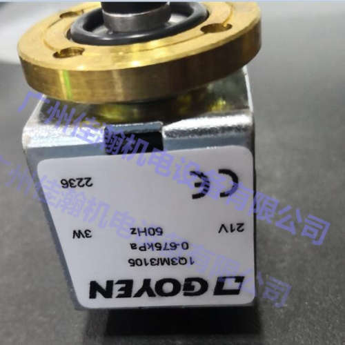 原装 GOYEN 电磁阀 VT57-O84 9W N282