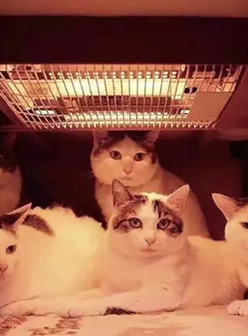 MORITA森田日式调温家用可配套餐厅桌面电器和室配套桌下取暖器