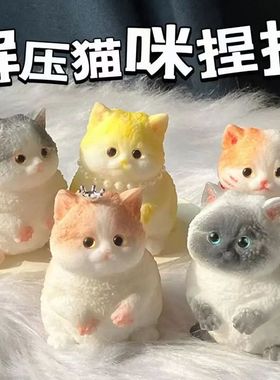 Cute Big Kitty Cat Taba Silicone Fuzzy Super Big Cat Kitten