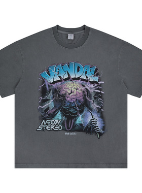 2026春夏新款美式潮牌重磅水洗暗黑大脑印花短袖T恤男女