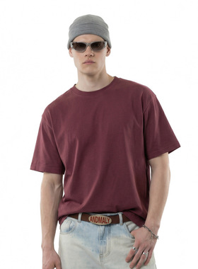 文火五合一科技面料薄荷T恤2026夏季新品国色天香短袖男