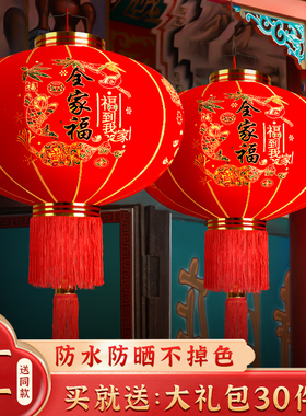 高端大红灯笼2025新款大门口一对过年装挂饰春节植绒挂件新年蛇年