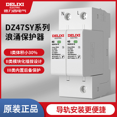 德力西防雷浪涌保护器DZ47SY电涌避雷开关II级385V2P3P4P20KA65KA