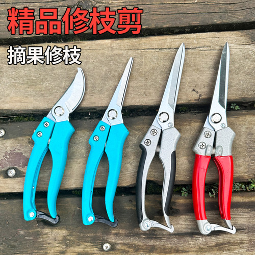 采摘水果神器园林加长火龙果剪刀