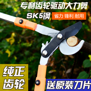 修枝剪修剪树枝果树剪刀粗枝剪园艺大力剪树剪子省力园林工具