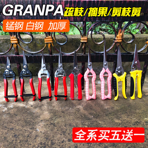 园林工具修枝剪葡萄蔬果桔子