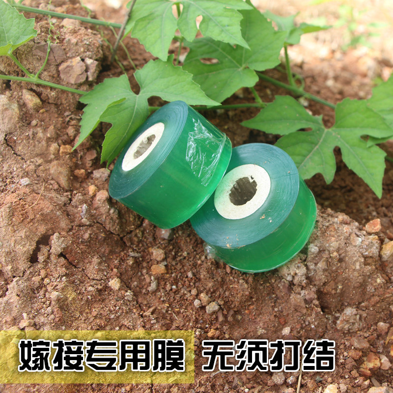 嫁接膜专用膜嫁接绑带果树苗木包扎带 无需打结自粘性缠绕膜