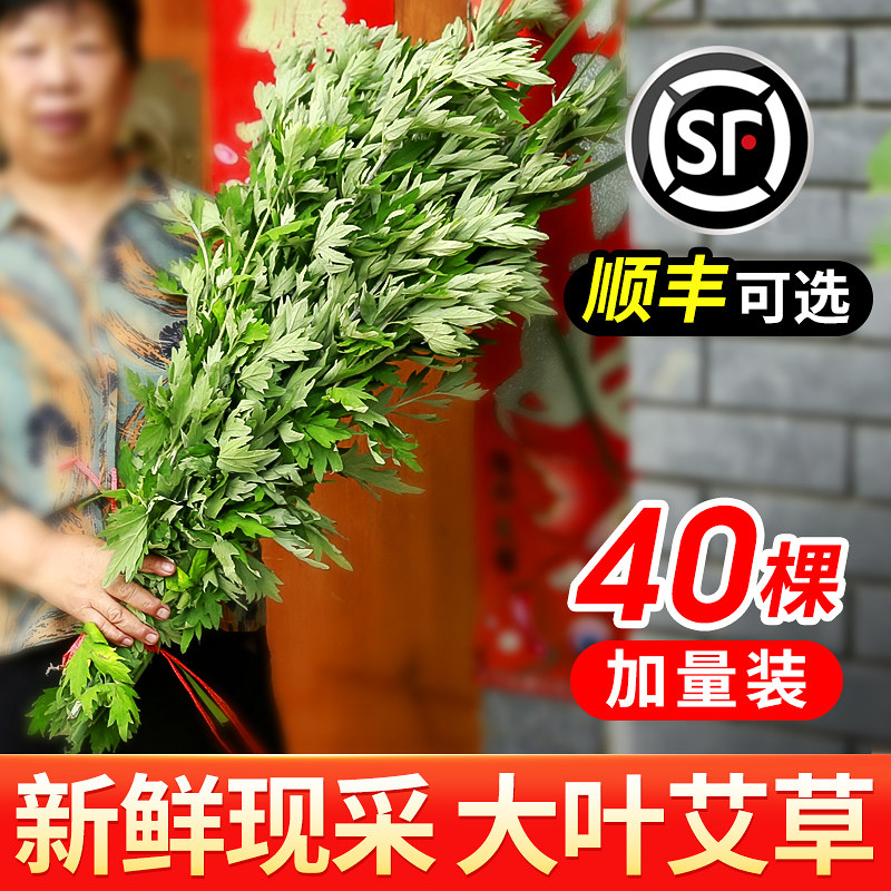 端午节新鲜艾草花束门挂装饰配件入户门安康挂饰挂件手工diy艾蒿