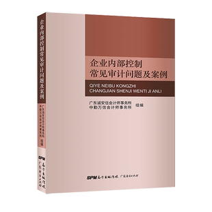 企业内部控制常见审计问题及案例  广东诚安信会计师事务所中勤万信会计师事务所262个典型常见案例