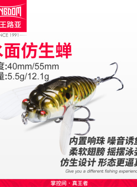 国王路亚饵昆虫蝉知了浮水面系波爬扒趴钓翘嘴草黑鱼鲈鱼路亚假饵
