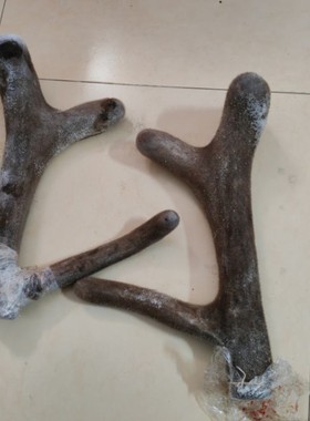 马鹿鲜鹿茸嫩茸整枝带血泡酒炖汤