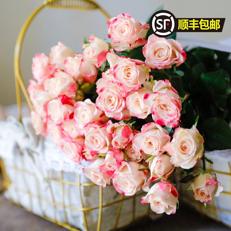 狂欢泡泡多头玫瑰 价格 怎么样 图片