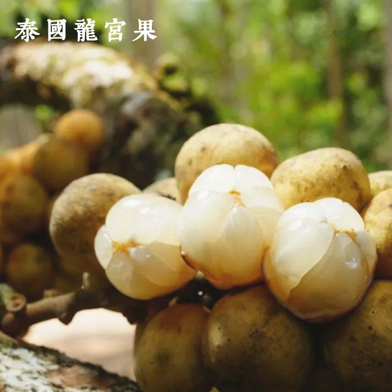 每天水果优选 泰国龙宫果 稀有猎奇罕见水果 顺丰当季整箱包邮