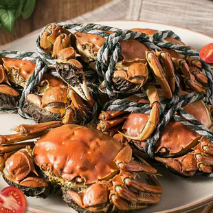 江苏泰州精品大闸蟹全母蟹鲜活螃蟹水产京东空运源头直发 活蟹