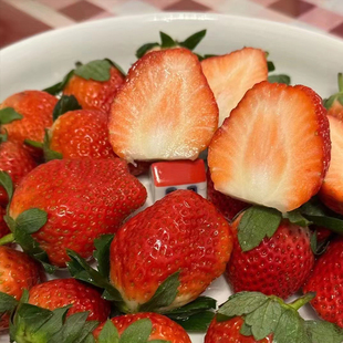 每天水果优选四川攀枝花草莓 露天黔莓当季新鲜现摘现发顺丰包邮