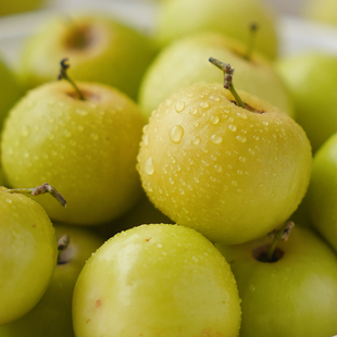 礼盒装 每天水果优选 新鲜脆嫩清甜多汁 当季 福建漳州樱桃珍珠枣