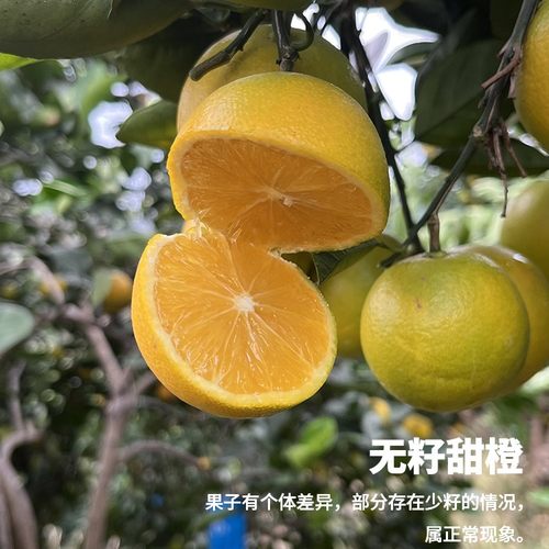岩翠湖南冰糖橙纯甜无酸