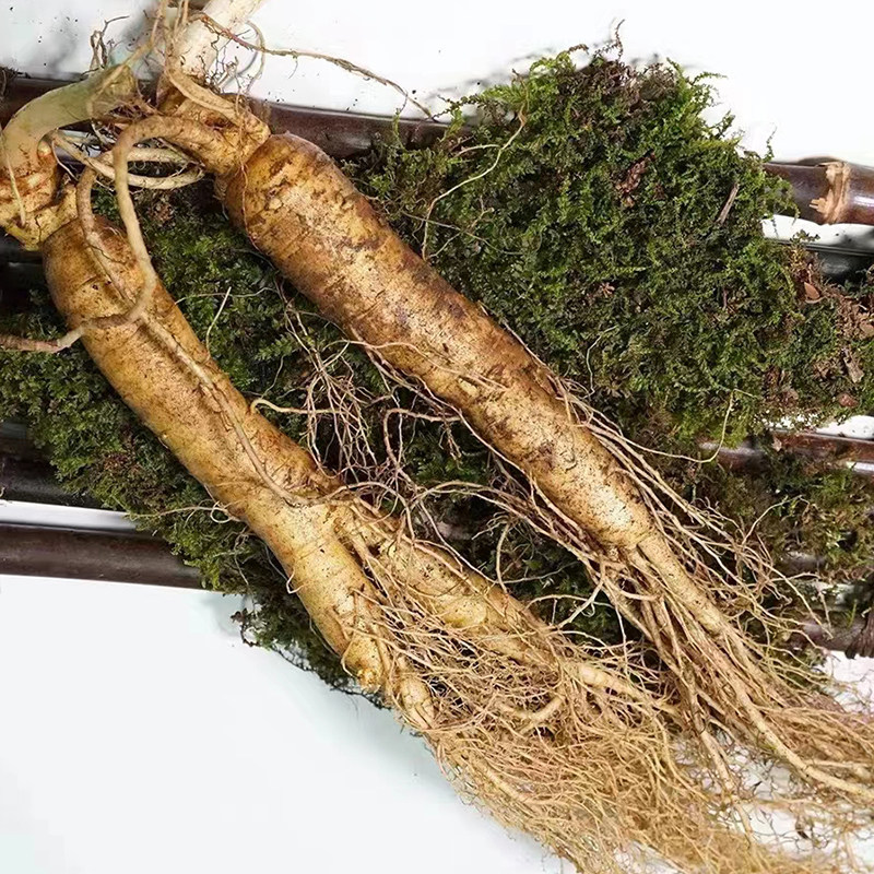 吉林长白山新鲜人参带泥产地直发煲汤炖鸡礼盒装东北特产