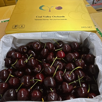 澳大利亚空运进口拉宾斯 塔斯马尼亚车厘子原箱新鲜整箱包邮