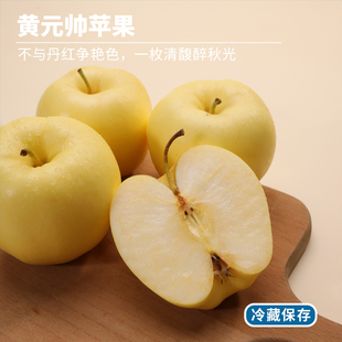 口感偏面金冠苹果当季 帅苹果 新鲜整箱 甘肃天水黄元 每天水果优选