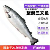 智利进口冷冻三文鱼整条大西洋鲑鱼三文鱼刺身生鱼片即食海鲜 包邮🍬