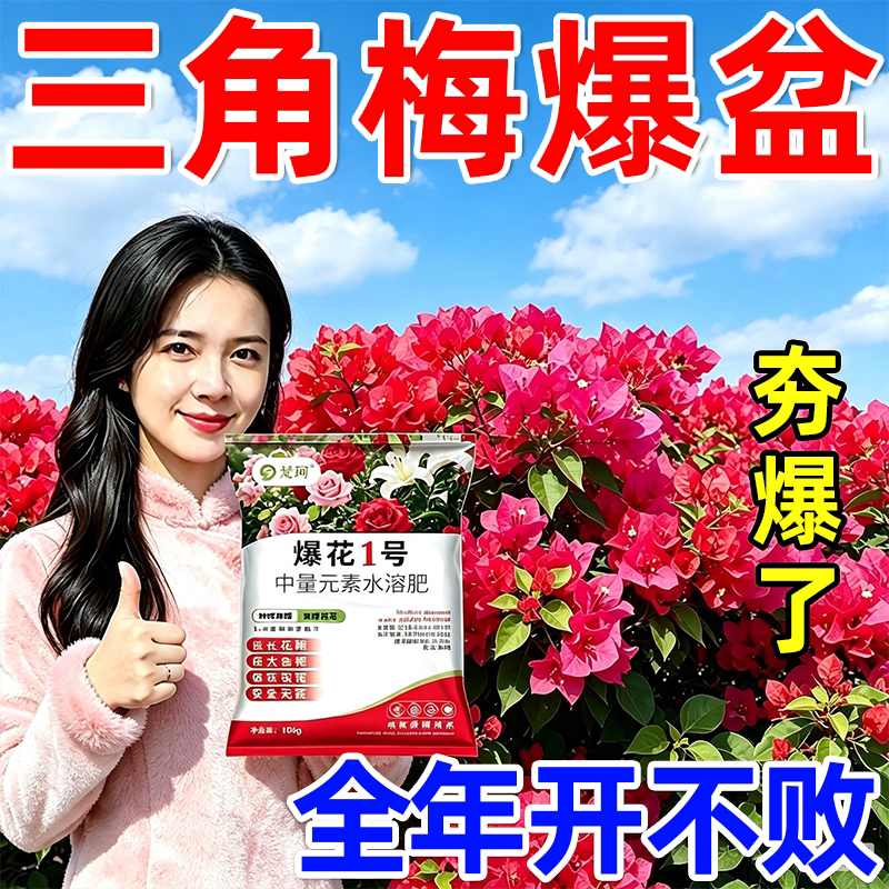【开不败】三角梅专用肥促开花爆花壮根助生长肥料开花专用肥花卉