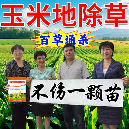 玉米苗后除草专用剂除草封草不伤