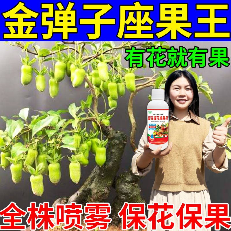 金弹子坐果灵保花保果素