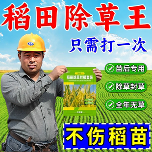 水稻田苗后除草专用剂不伤苗封闭稗草千金子莎草直播田埂旱稻移栽