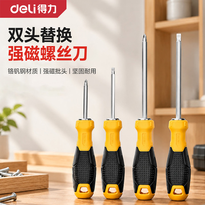 得力螺丝刀两用十字二合一字双头螺丝批套装强磁高硬度小起子改锥