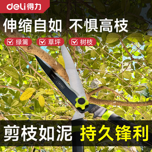 得力高枝剪园艺剪刀修剪树枝专用工具园林绿篱粗枝嫁接果枝修枝剪