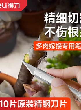 得力多肉砍头刀园艺嫁接专用刀具水仙雕刻蟹爪兰仙人球树苗扦插芽