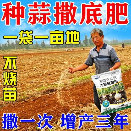 大蒜底肥宝大蒜专用强效底肥