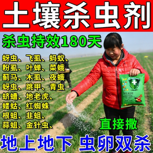 土壤杀虫剂地下害虫杀虫防虫地老虎蛴螬金针虫小菜蛾跳甲通杀颗粒