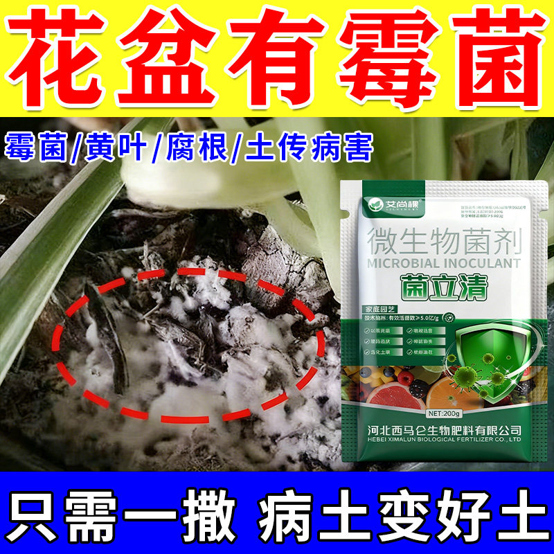 菌立清多菌灵杀菌剂花卉植物通用家用月季炭疽黑斑青枯真菌病全清