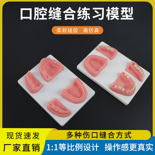口腔缝合练习模型口内缝合模块