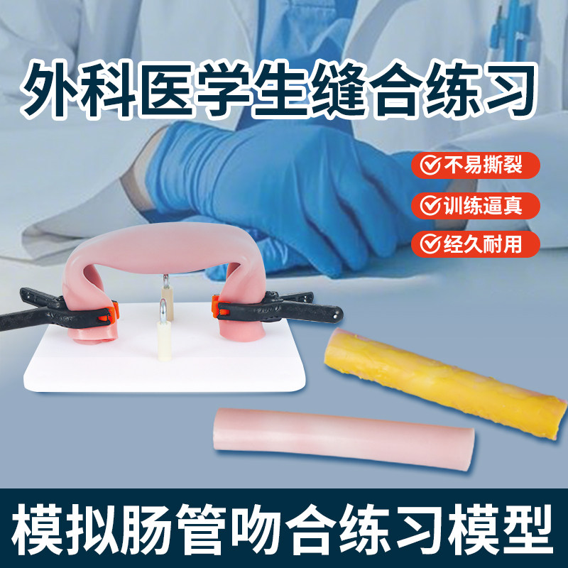 肠缝合模型切割缝合打结练习
