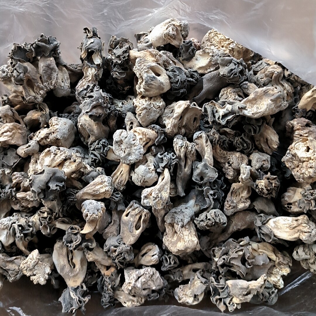 新干货巴楚菇产地发货新疆巴楚野生蘑菇食用菌胡杨林自然晒干带土