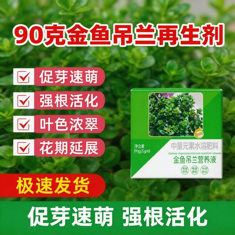 焕活金鱼吊兰花促叶爆盆家庭园艺好帮手植物营养液厂家