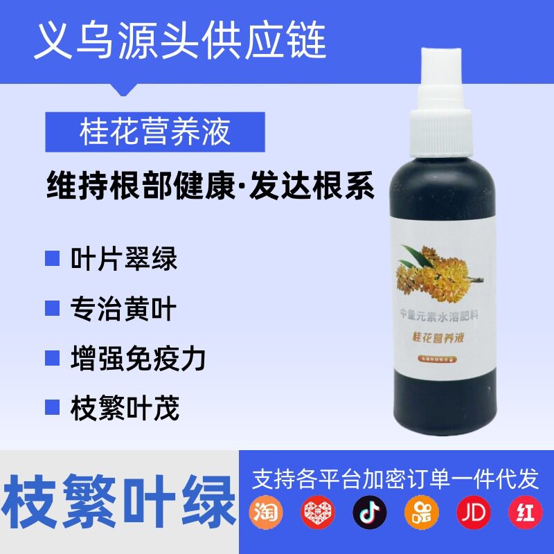 桂花营养液免稀释叶面肥通用型肥料四季开花桂花肥料